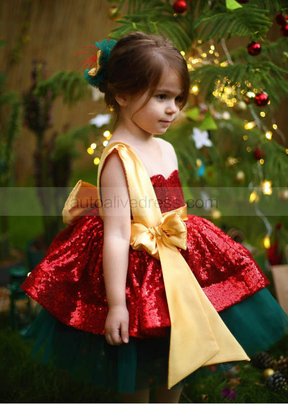 Sequin Tulle Unique Flower Girl Dress Christmas Dress